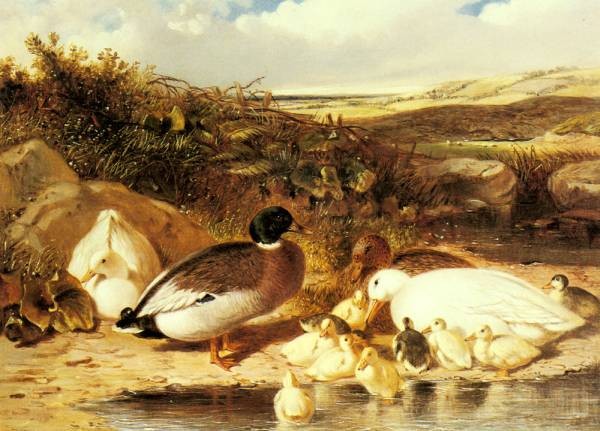 Herring Sr John Frederick Mallard Ducks and Ducklings On A River